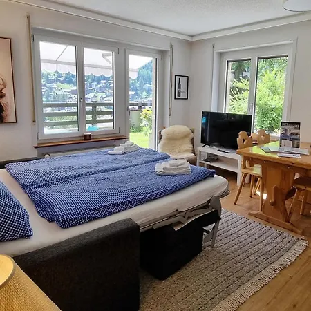 شقة Haus Bodmen C, Gruensee