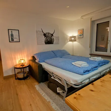Haus Bodmen C, Gruensee Appartement *