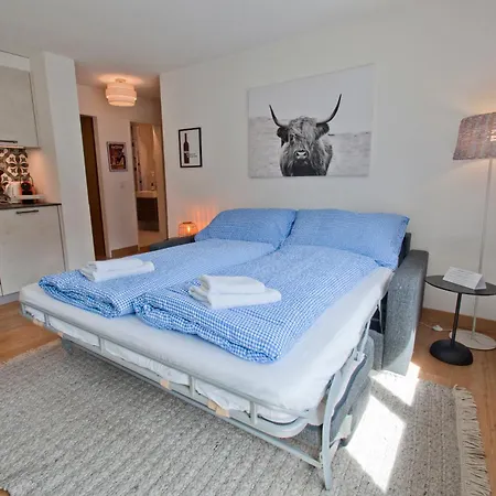 Haus Bodmen C, Gruensee * Zermatt