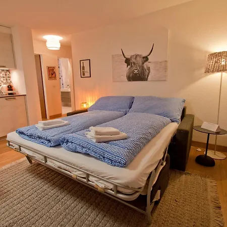 Haus Bodmen C, Gruensee Appartement